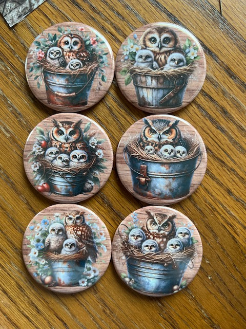 Owl Themed Magnets - Set of 6 Cedar Hill Country Market