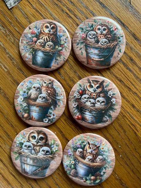 Owl Themed Magnets - Set of 6 Cedar Hill Country Market