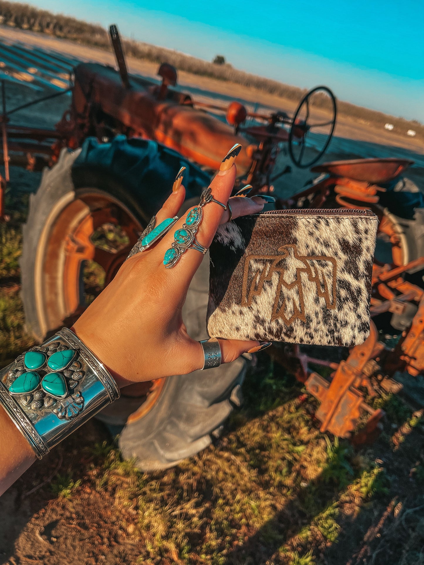 Thunderbird’ n Go Pouch by Beth Marie Haute Southern Hyde