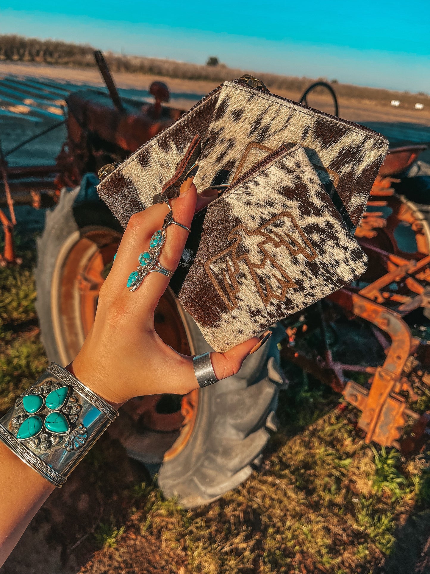 Thunderbird’ n Go Pouch by Beth Marie Haute Southern Hyde