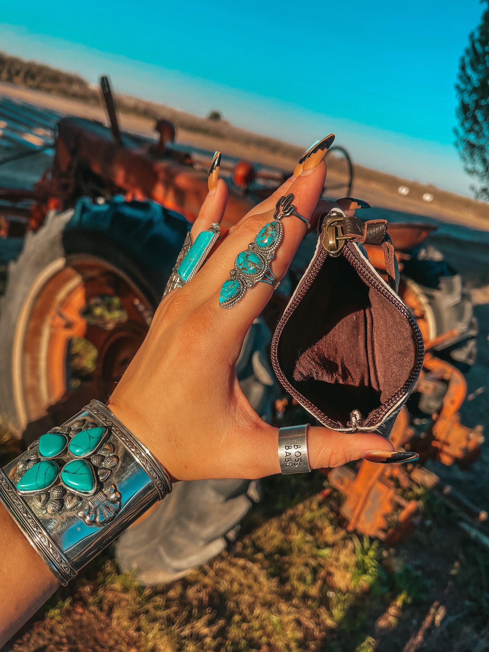 Thunderbird’ n Go Pouch by Beth Marie Haute Southern Hyde