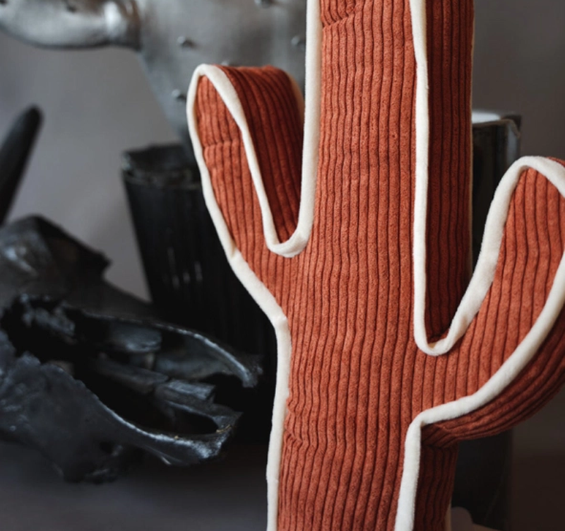 Kick A Cactus Pillow Cedar Hill Country Market