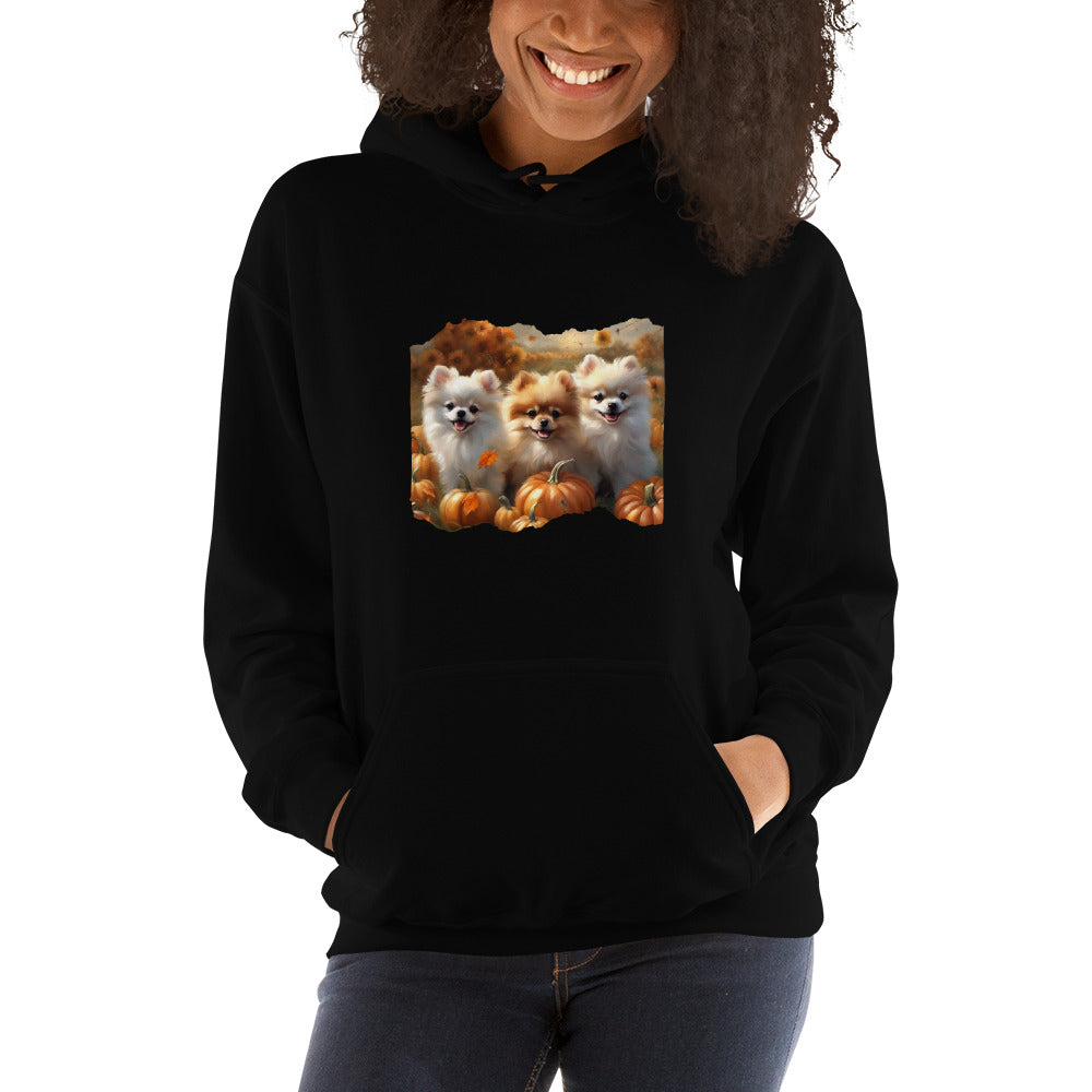 Pomeranian Puppies Pumpkin Patch and Dragonflies Unisex Hoodie CedarHill Country Market