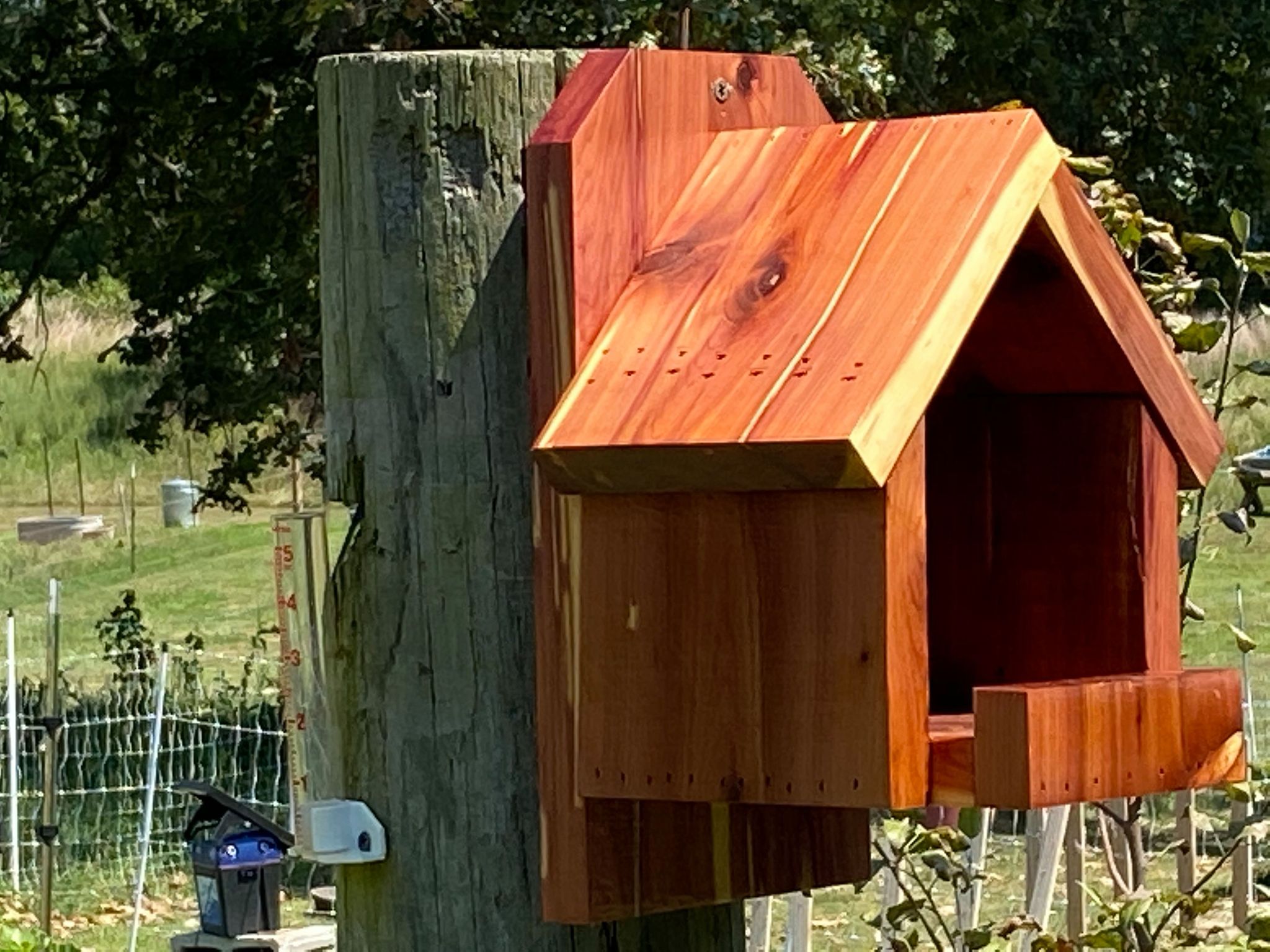 Cardinal Nesting Box Plans