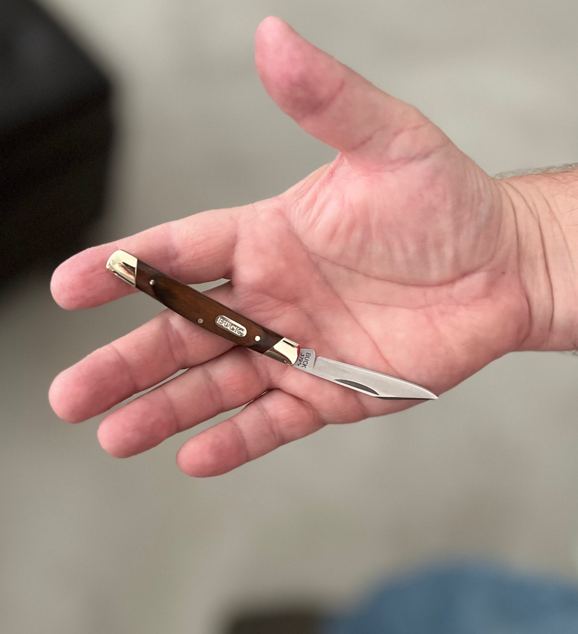 Buck "Solo" Wood Handles Pocket Knife 6005 CedarHill Country Market