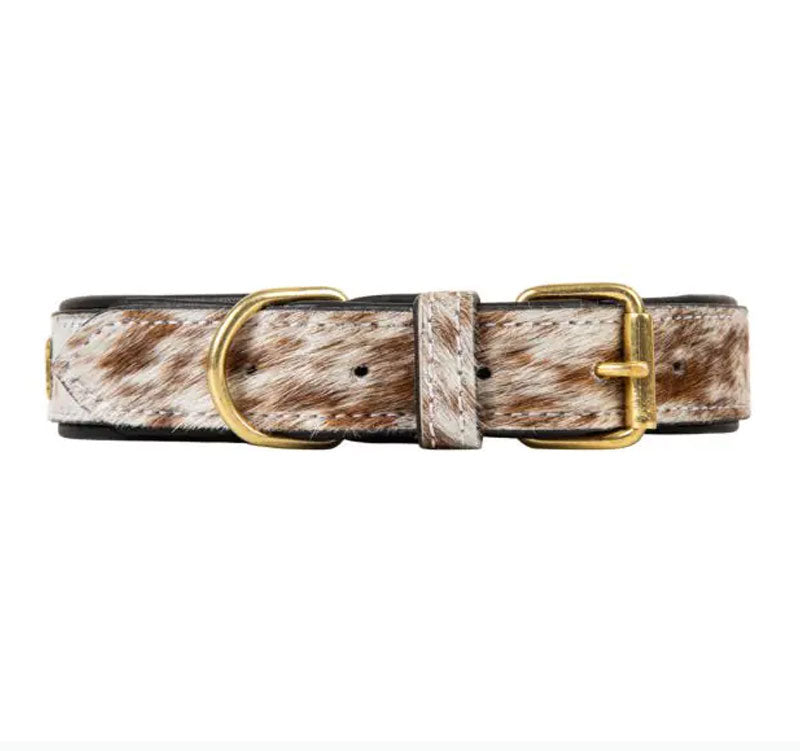 Chissum Hair-on Hide Dog Collar Multi Size Cedar Hill Country Market