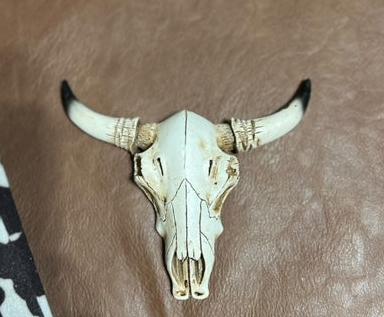 Mini Bull Skull Wall Hangers - 5 Inch CedarHill Country Market