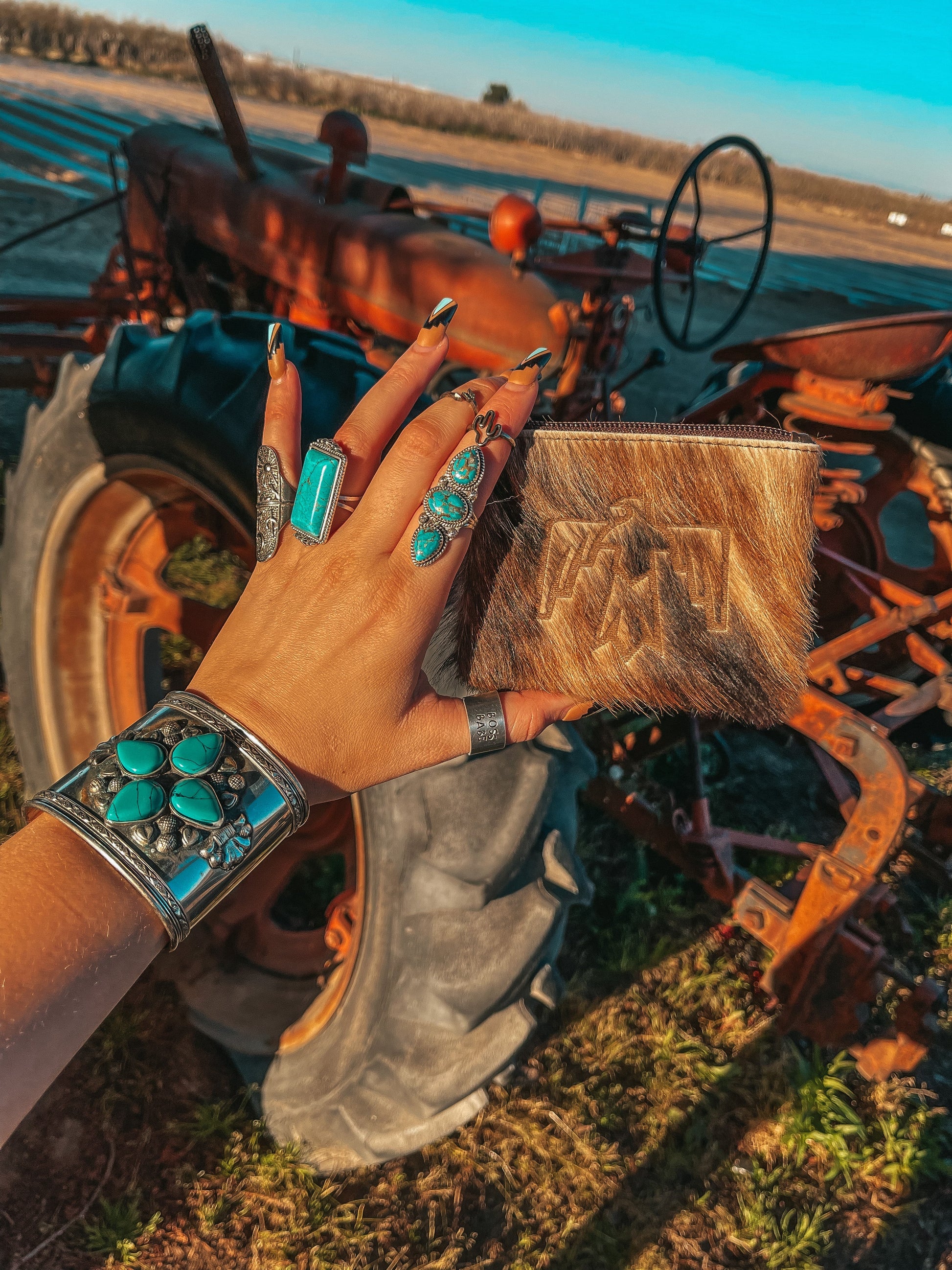Thunderbird’ n Go Pouch by Beth Marie Haute Southern Hyde