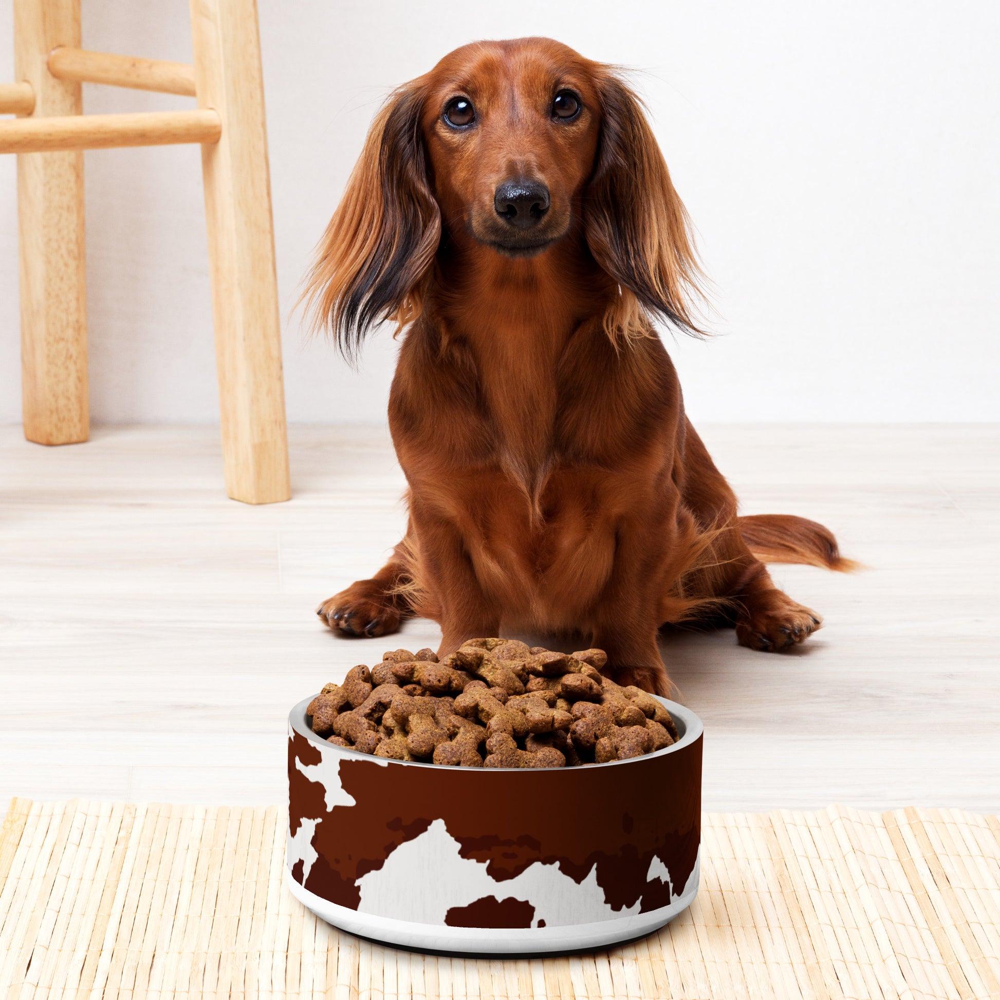 Cowhide Western Themed Printed Pet bowl CedarHill Country Market