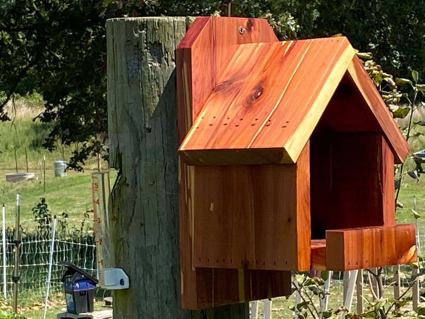 Cardinal Birdhouse Cedar Hill Country Market