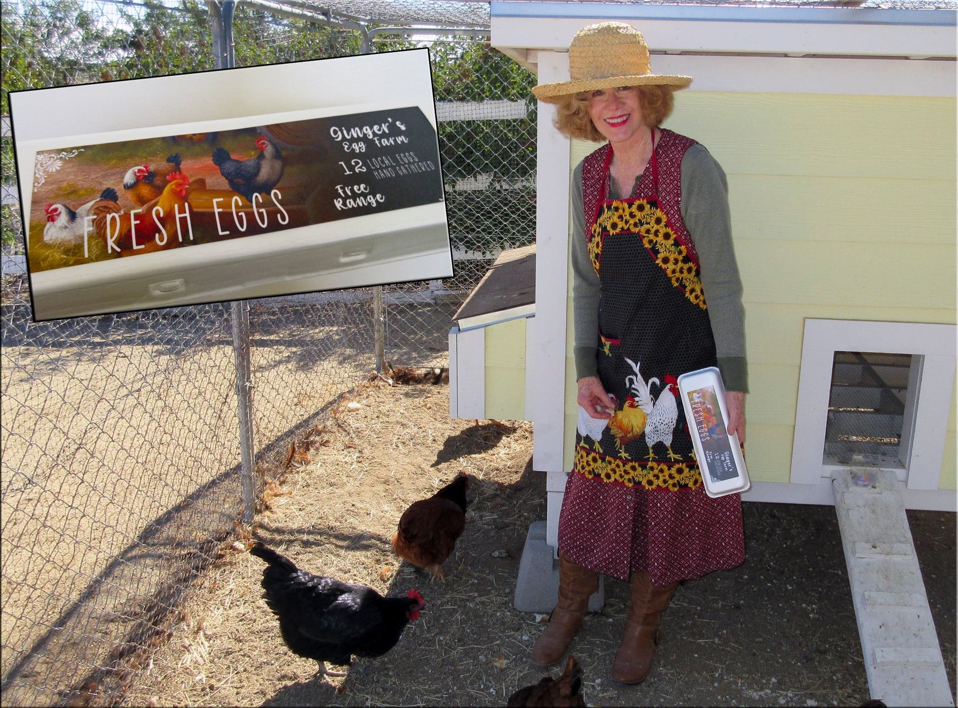 Custom Egg Carton Labels - FULL COLOR-For Full Dozen/12-egg Cartons Cedar Hill Country Market