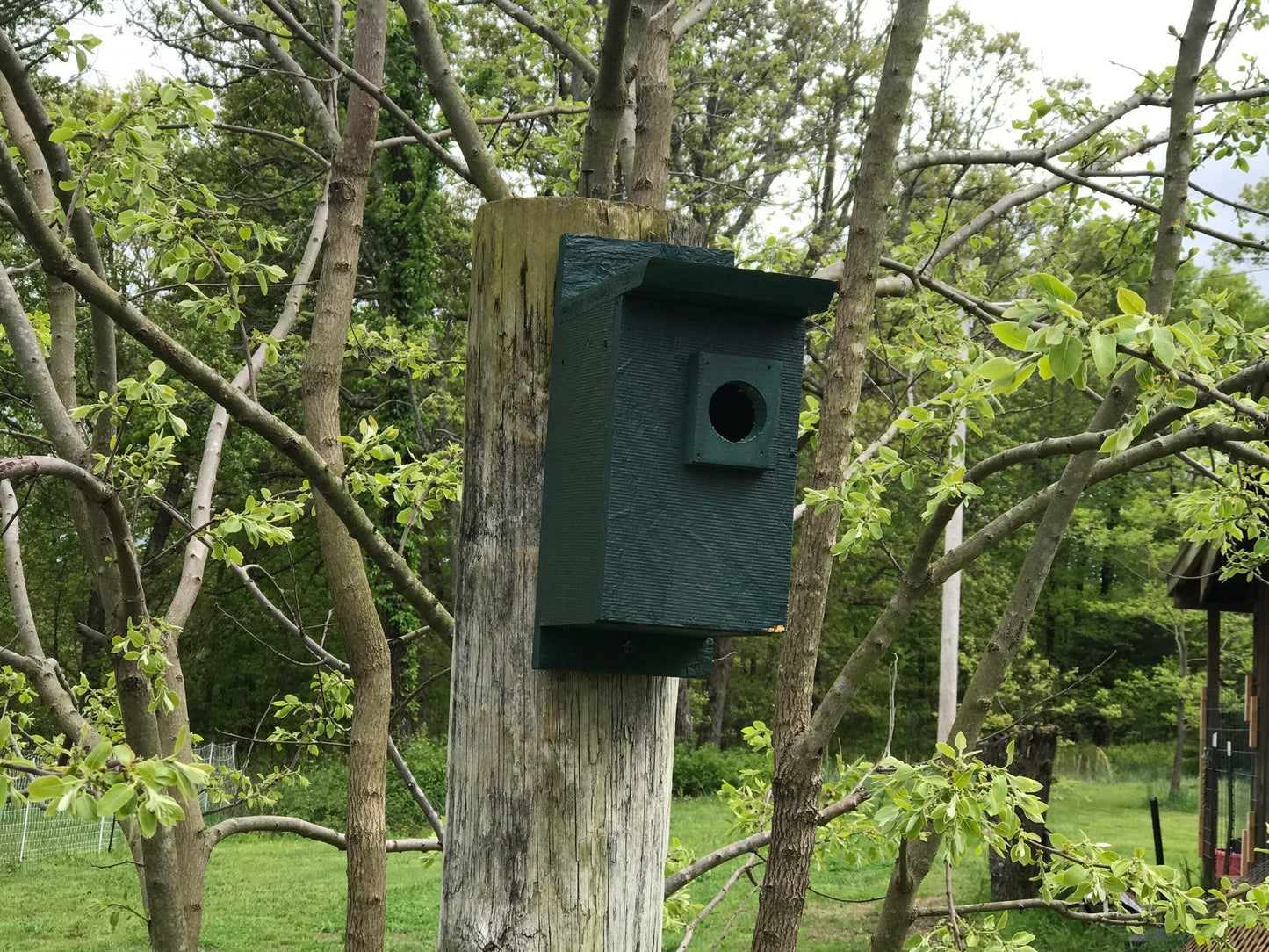 Eastern Blue Bird House Cedar Hill Country Market