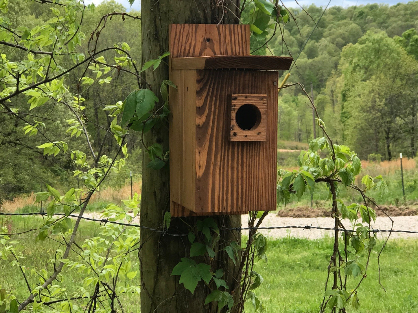 Eastern Blue Bird House Cedar Hill Country Market