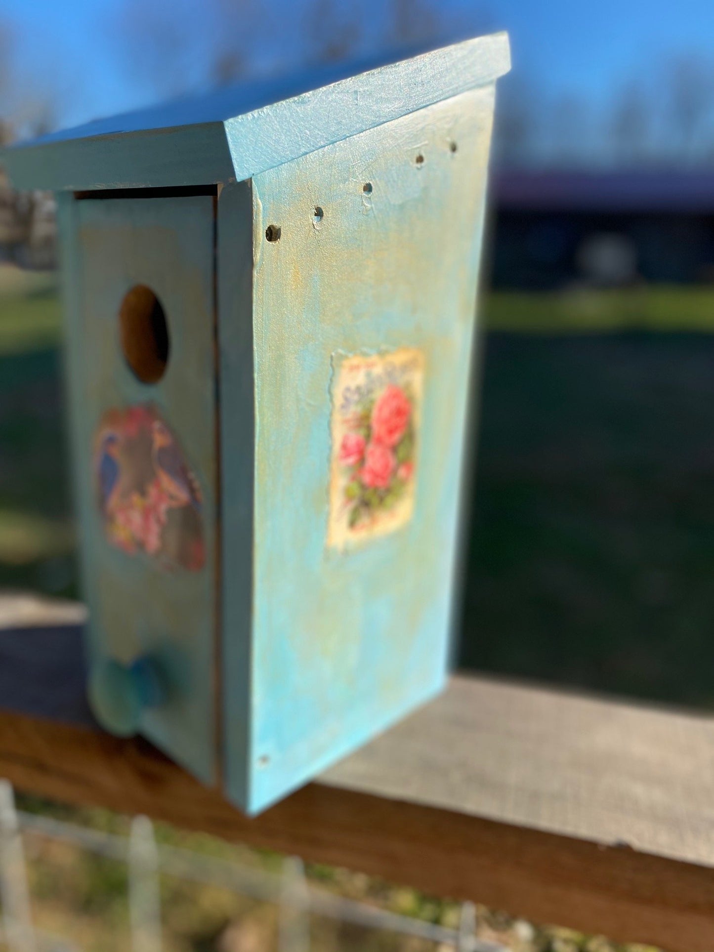 Handmade Eastern Bluebird/California Wren/Chickadee/Swallow/ House Solid Pine Cedar Hill Country Market