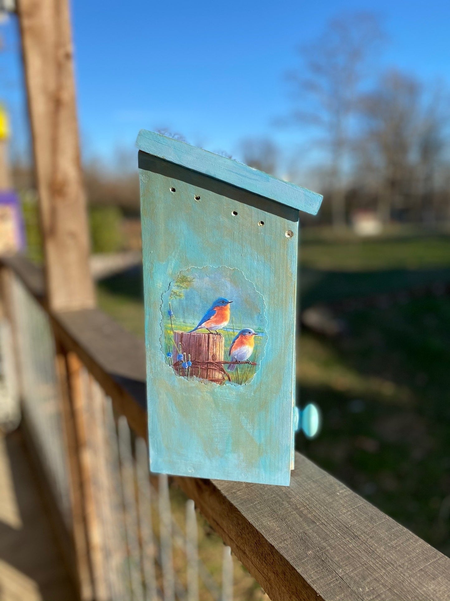 Handmade Eastern Bluebird/California Wren/Chickadee/Swallow/ House Solid Pine Cedar Hill Country Market