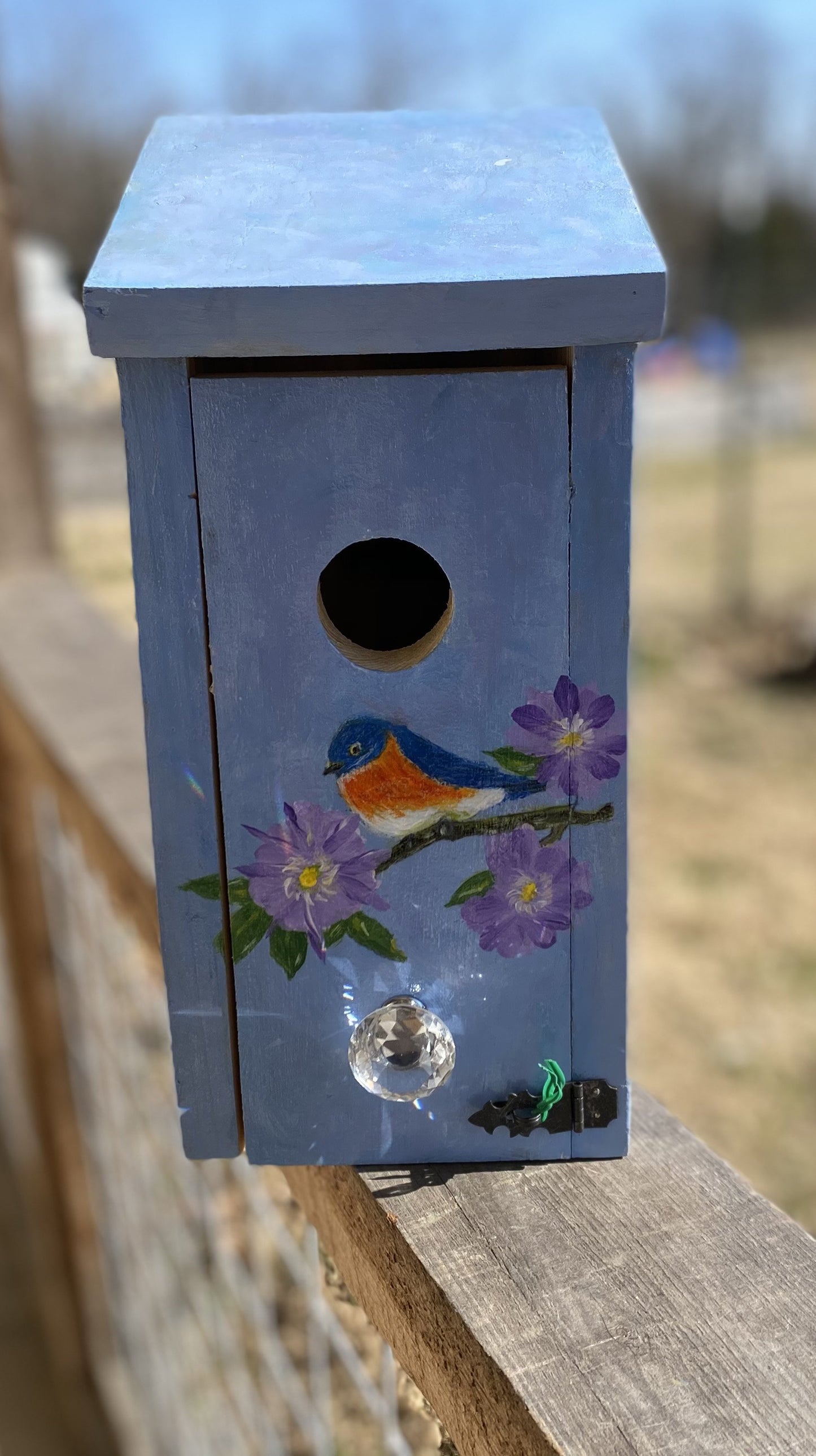 Handmade Eastern Bluebird/Carolina Wren/Chickadee/Swallow/ House Solid Pine Cedar Hill Country Market